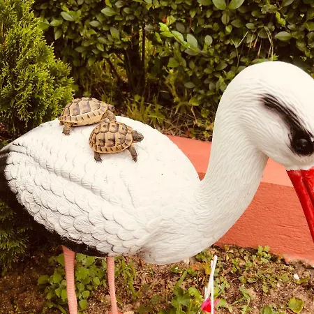 Infinity Sky * Várna