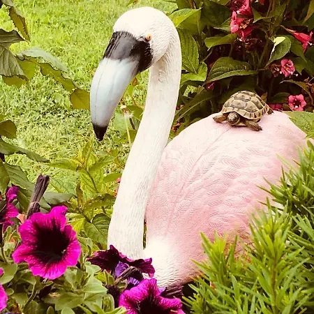 Vendégház Infinity Sky Várna