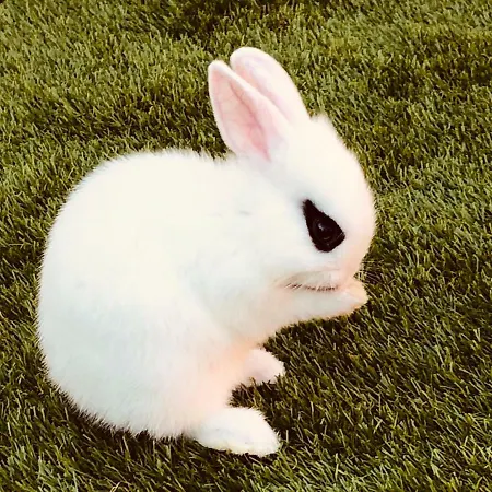 Vendégház Infinity Sky Várna