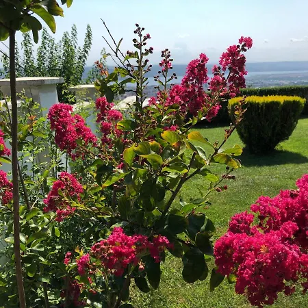 Vendégház Infinity Sky *