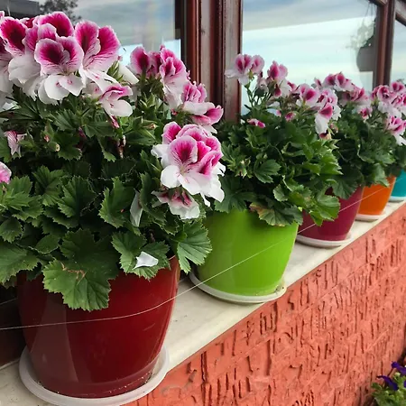 Vendégház Infinity Sky Várna