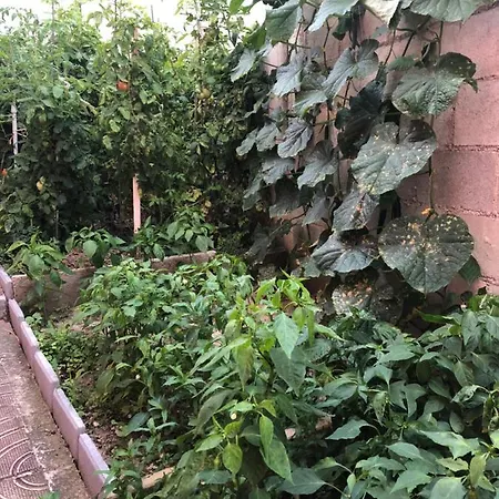 Vendégház Infinity Sky *