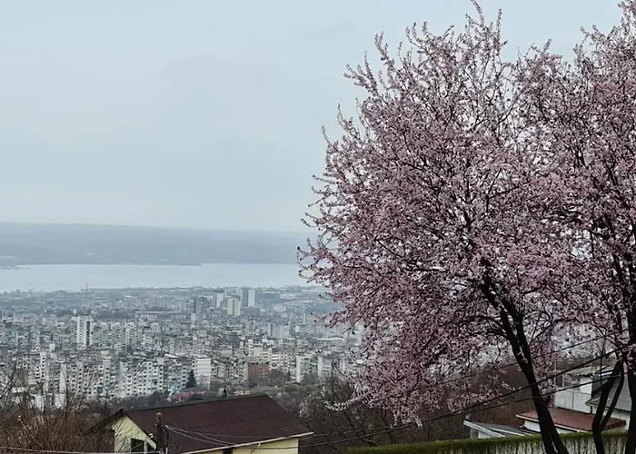 Infinity Sky Vendégház