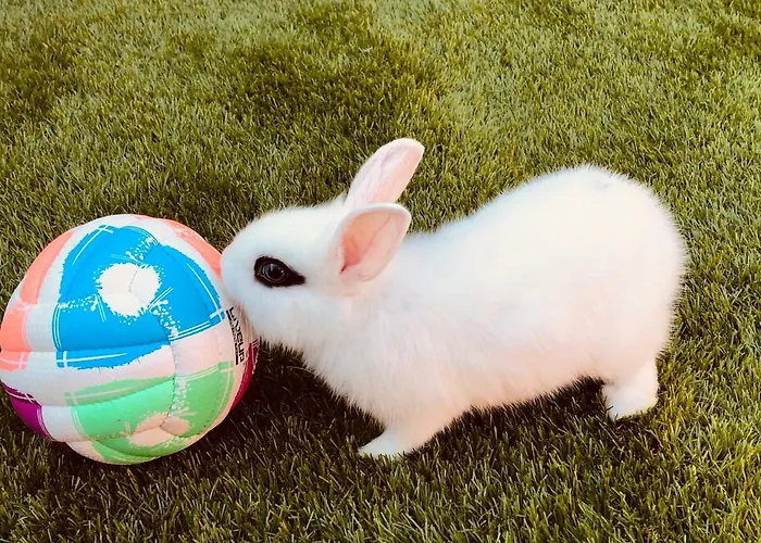 Infinity Sky Vendégház Várna