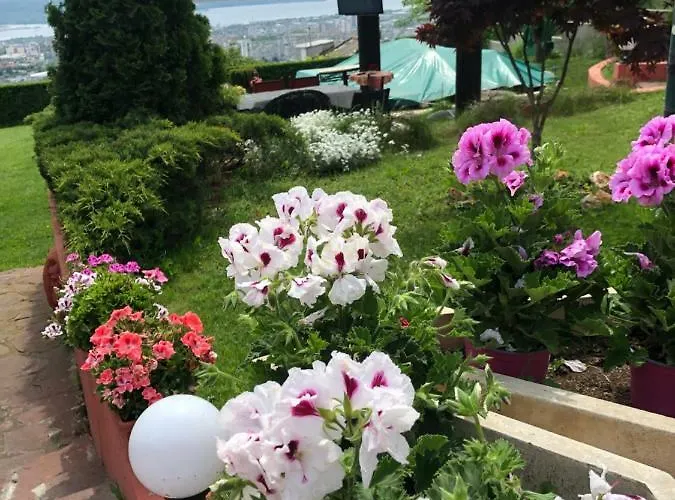 Vendégház Infinity Sky *