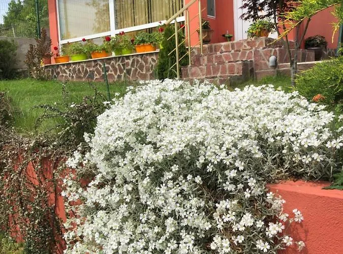 Infinity Sky * Várna