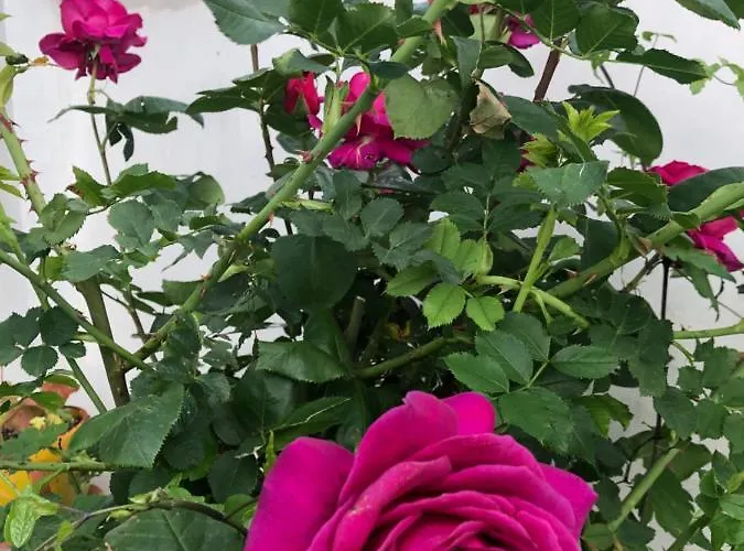 Infinity Sky Vendégház