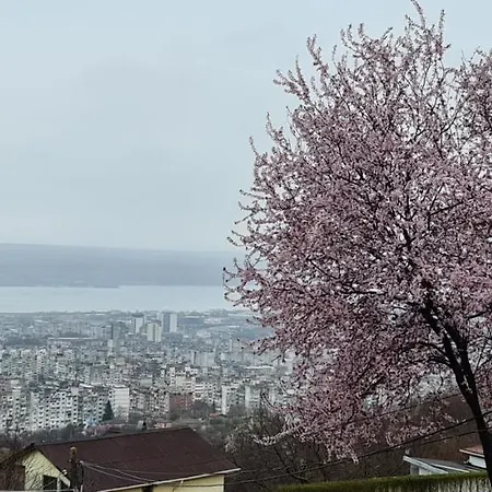 Infinity Sky Gasthof