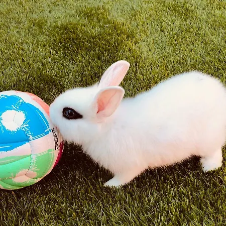 Infinity Sky Gasthof Warna