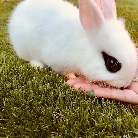 Gasthof Infinity Sky *