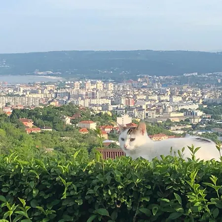 Gasthof Infinity Sky Warna