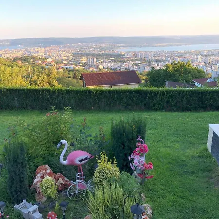 Infinity Sky * Warna