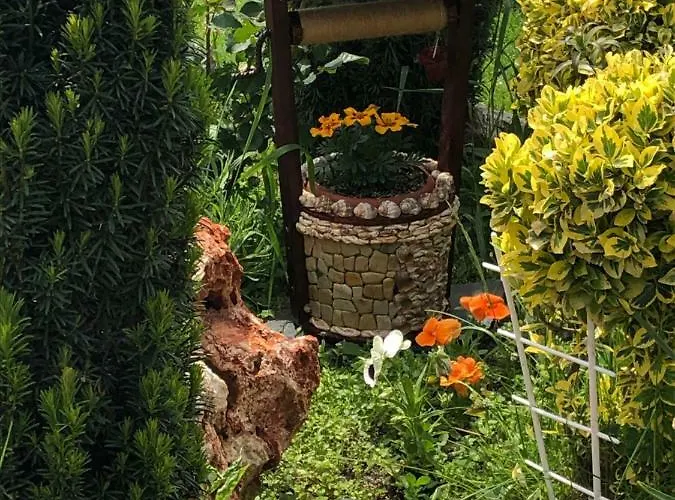 Infinity Sky * וארנה