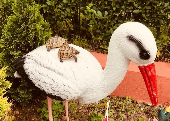 Infinity Sky * וארנה