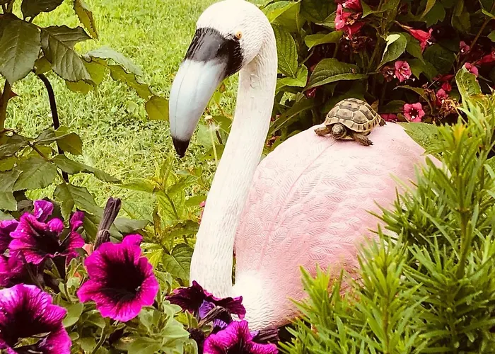 Πανσιόν Infinity Sky Βάρνα