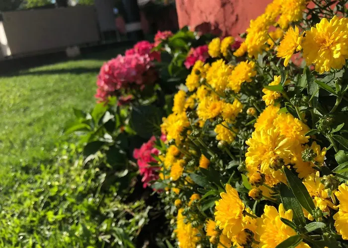 Infinity Sky וארנה