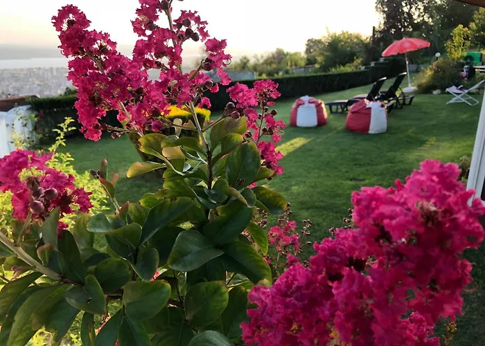 Infinity Sky בית הארחה