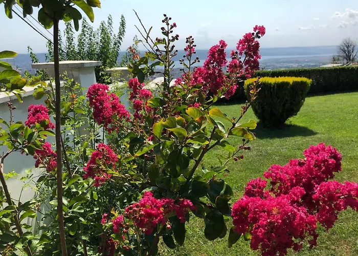 בית הארחה Infinity Sky *