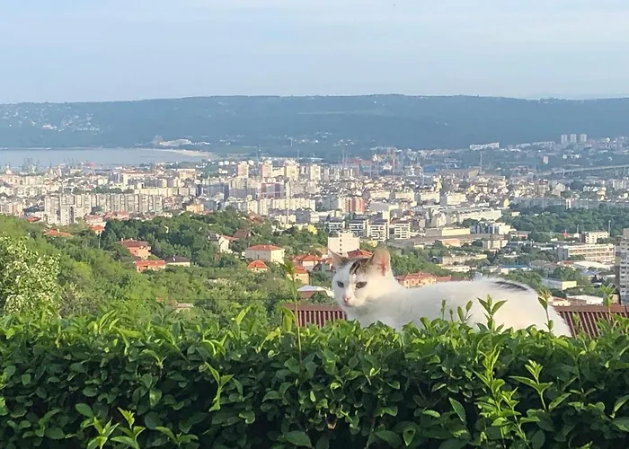 בית הארחה Infinity Sky וארנה