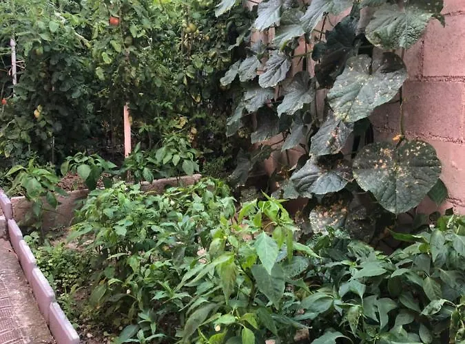 Πανσιόν Infinity Sky *